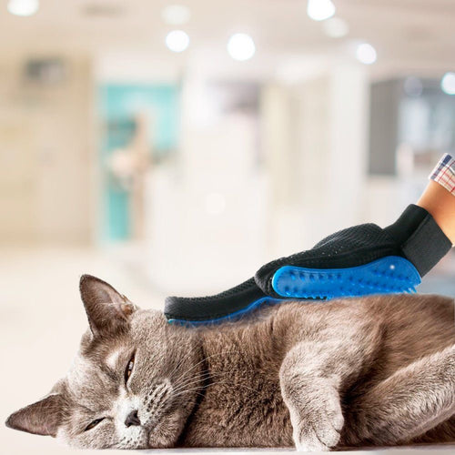 Top Paw All-in-1 Grooming Gloves 🐾